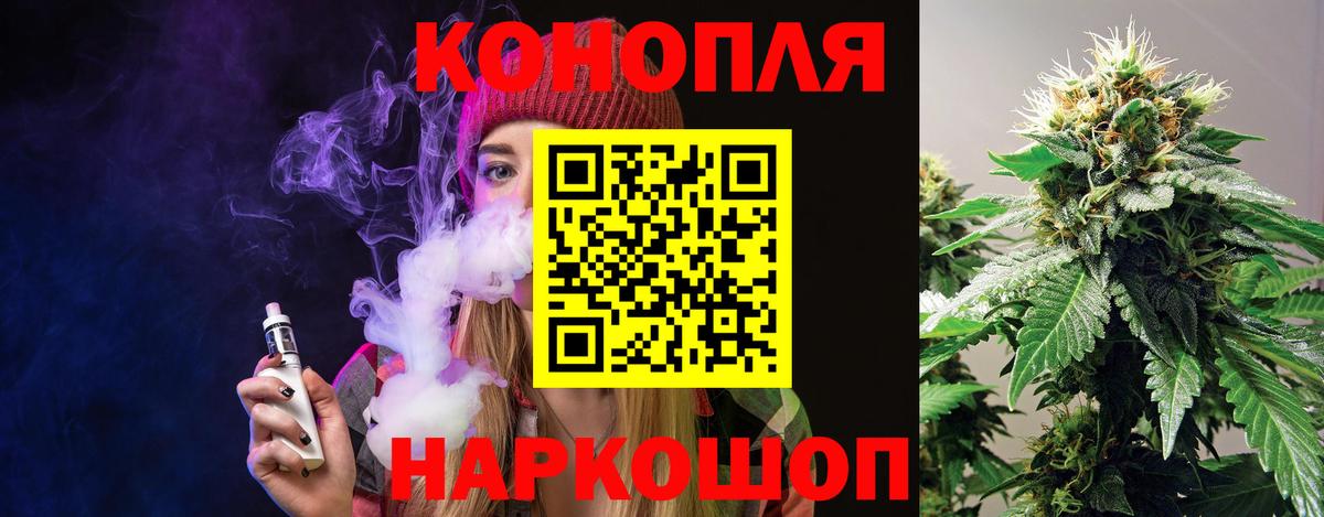 Канабис планчик Сатка